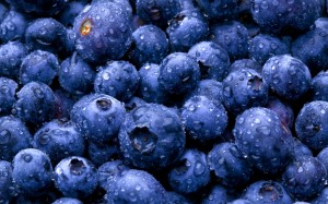 Blueberry Background Material