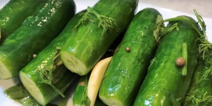 Малосольные огурцы с чесноком и зеленью быстрого приготовления с рассолом и на минералке — быстрые рецепты в кастрюле и банке