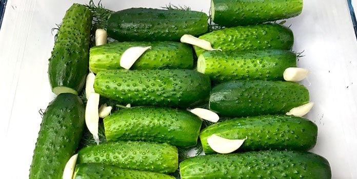 Хрустящие малосольные огурцы в пакете: быстрый рецепт за 5 минут с чесноком и укропом Хрустящие малосольные огурцы в пакете: быстрый рецепт за 5 минут с чесноком и укропом