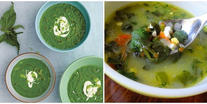 Зеленый суп из щавеля с яйцом, курицей или мясом — рецепт классический с фото пошагово. Как варить суп со щавелем ребенку