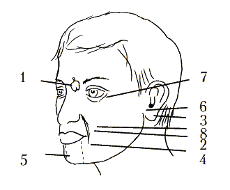 Диагностика заболеваний по лицу – читать онлайн полностью – ЛитРес