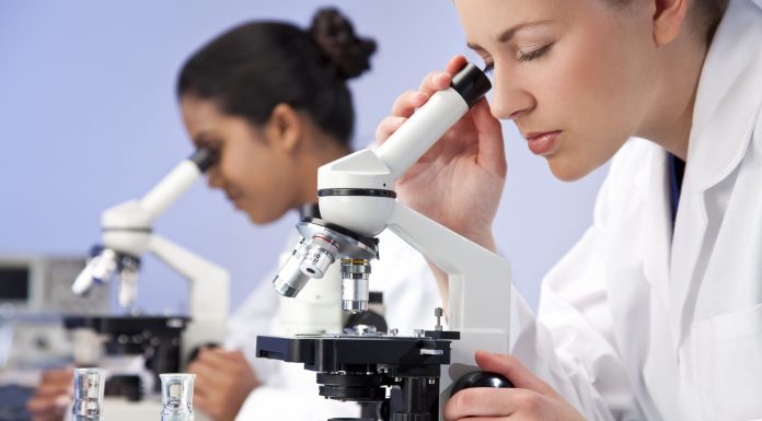 Сдать спермограмму: когда назначают анализ и как к нему подготовиться Сдать спермограмму: когда назначают анализ и как к нему подготовиться