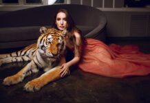 Каким будет год Тигра: общие предсказания