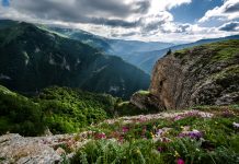 Красивая Адыгея: отдых в горах Лагонаки