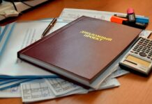 Курсовые работы и диссертации: важный этап в образовательной подготовке